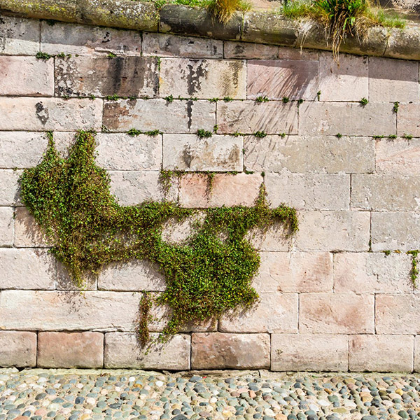 entreprise de nettoyage sur mulhouse