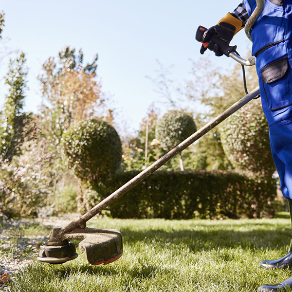 tonte-et-debroussaillage