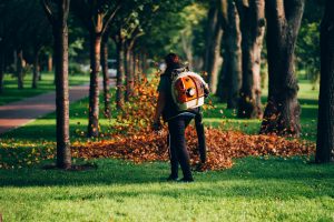 Une femme utilisant un souffleur de feuilles