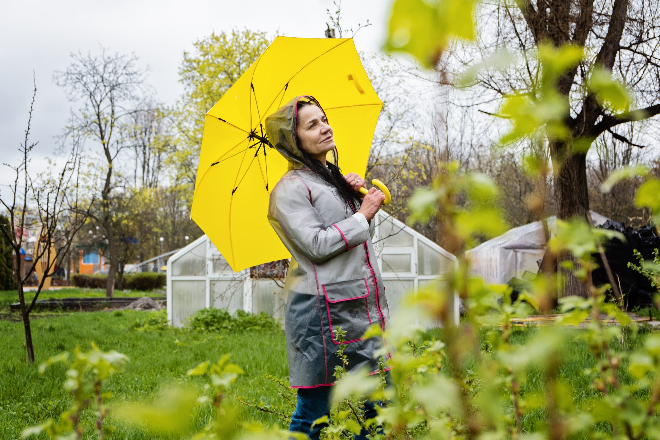 Entretenir son jardin sous la pluie a Mulhouse Vital Service