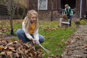 preparer-jardin-automne-mulhouse-vital-service